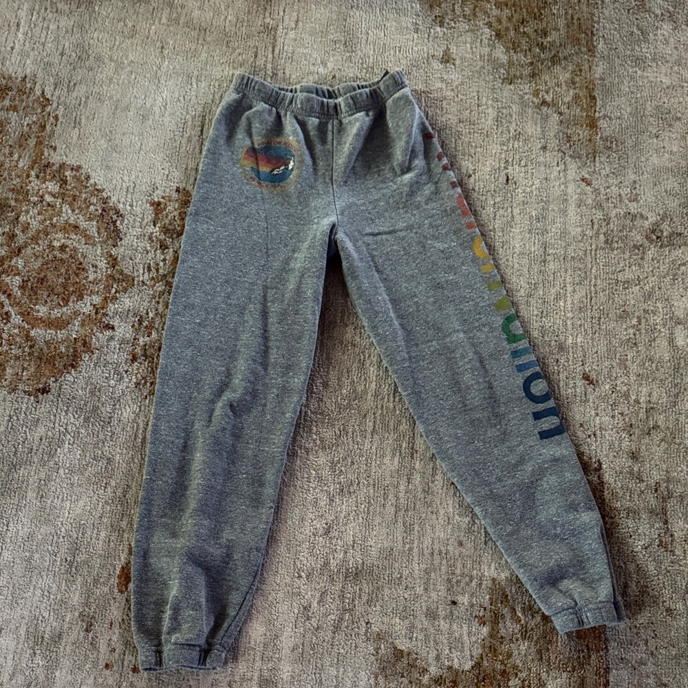 Aviator Nation Gray Kids Joggers with Multicolor Logo